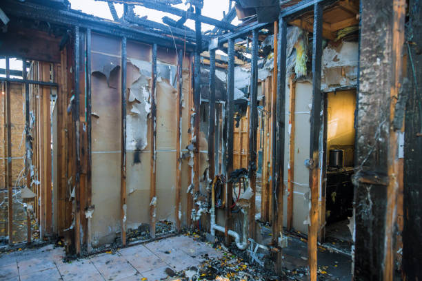 Professional Fire Damage Removal technician working in Metairie, LA